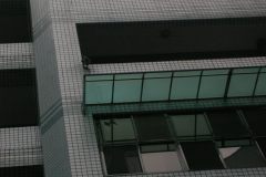 DSCN1260